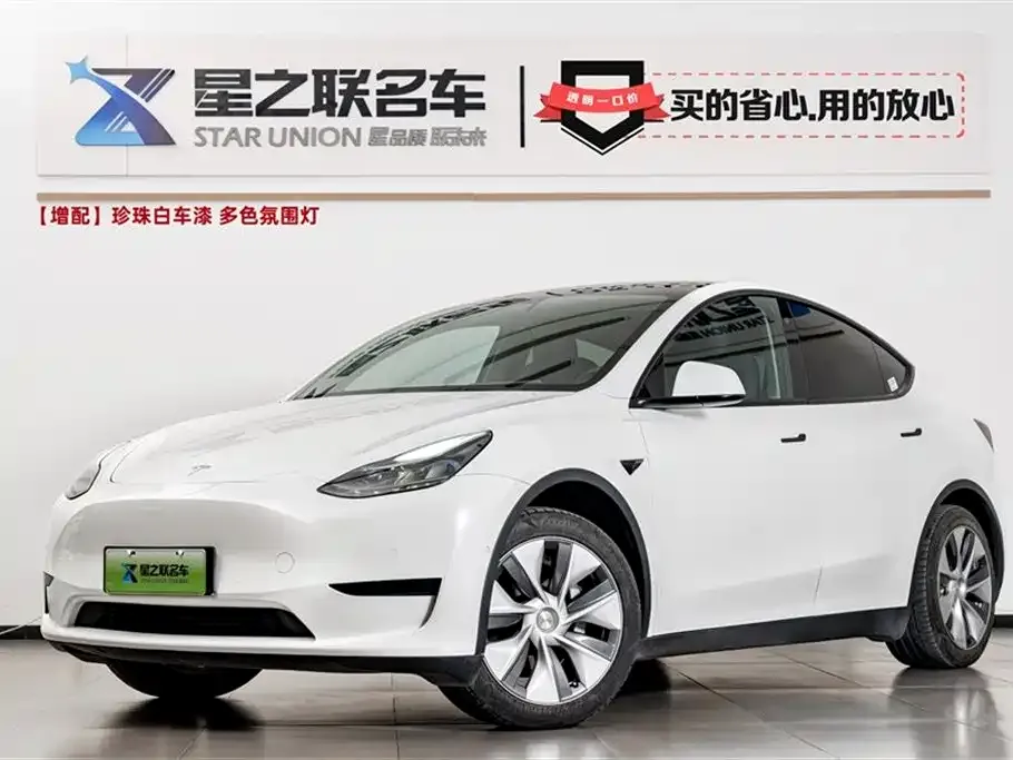 Tesla Model Y 2022 из CN, фото 1