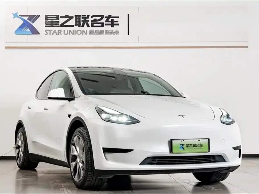 Tesla Model Y 2022 из CN, фото 5