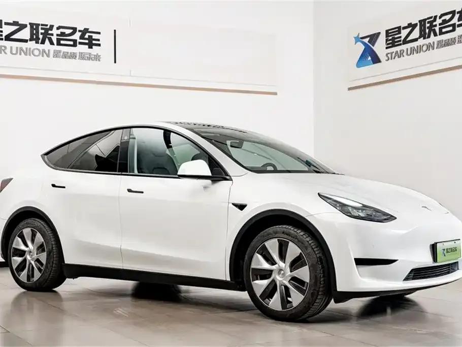Tesla Model Y 2022 из CN, фото 7