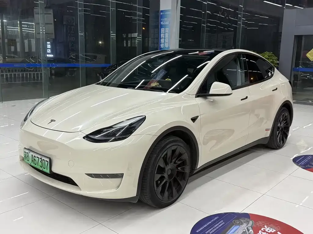 Tesla Model Y — фото 1