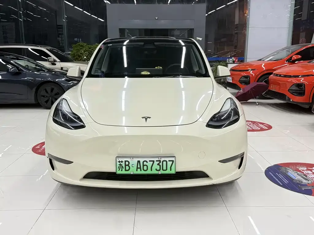 Tesla Model Y — фото 6