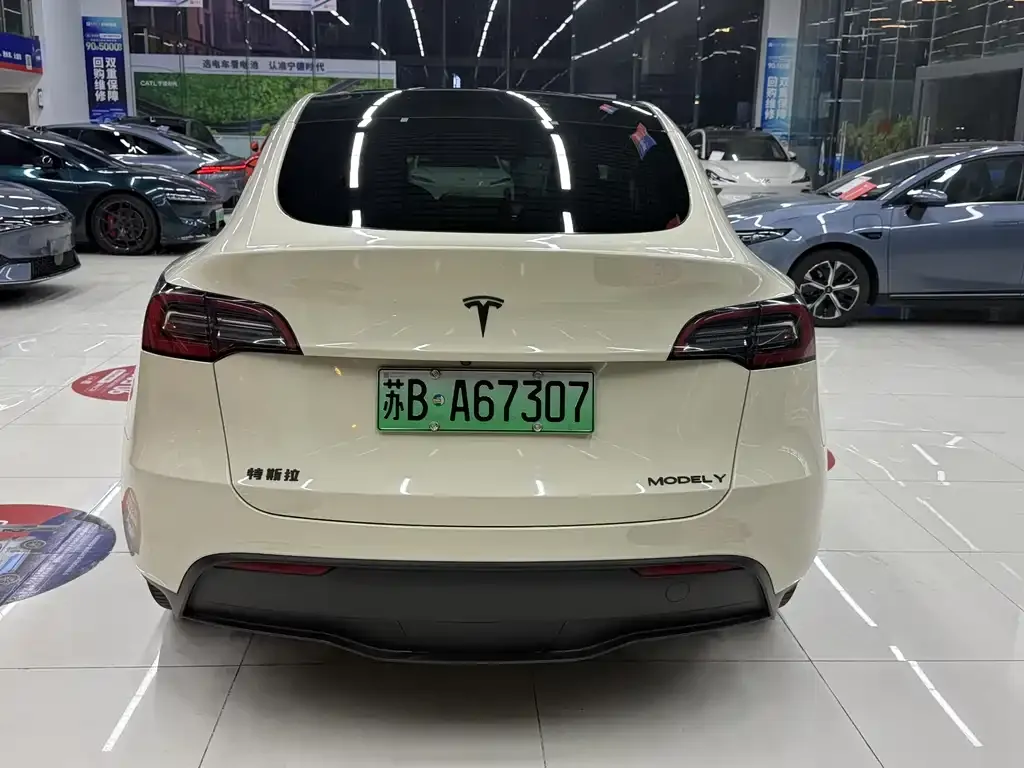 Tesla Model Y — фото 3