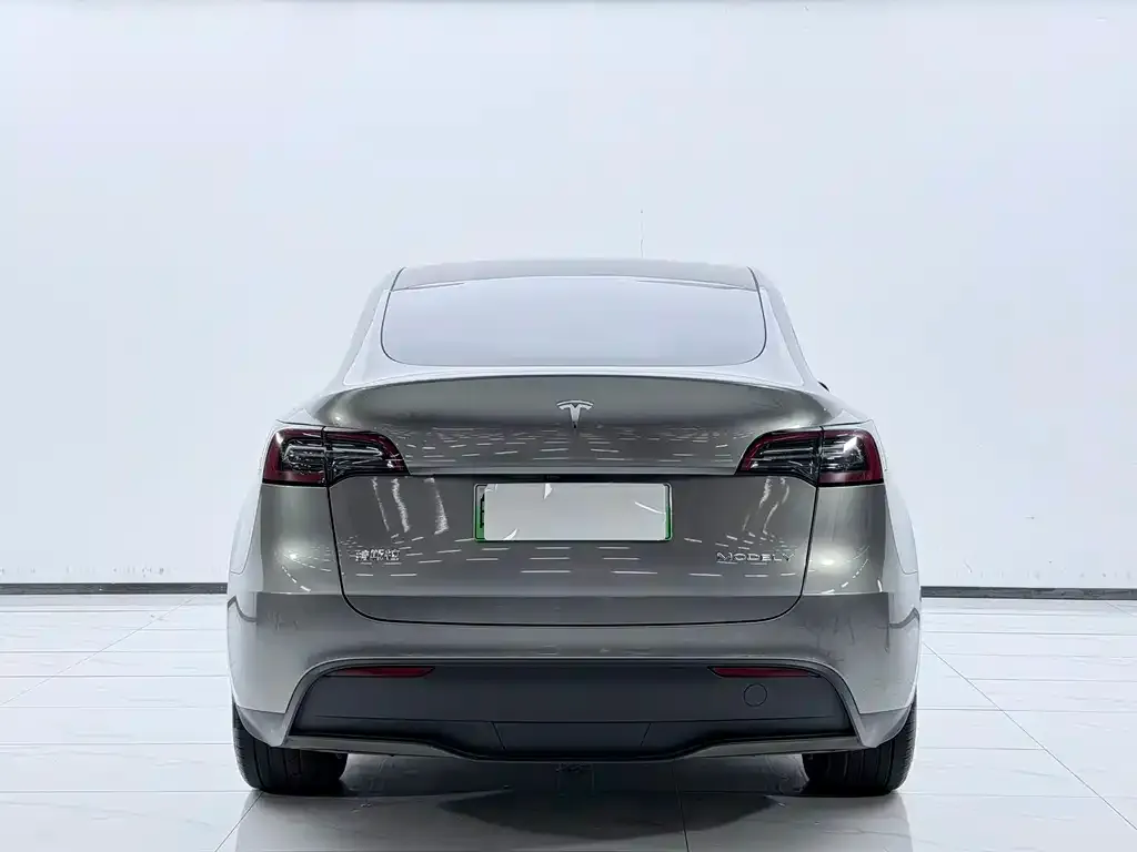 Tesla Model Y — фото 10