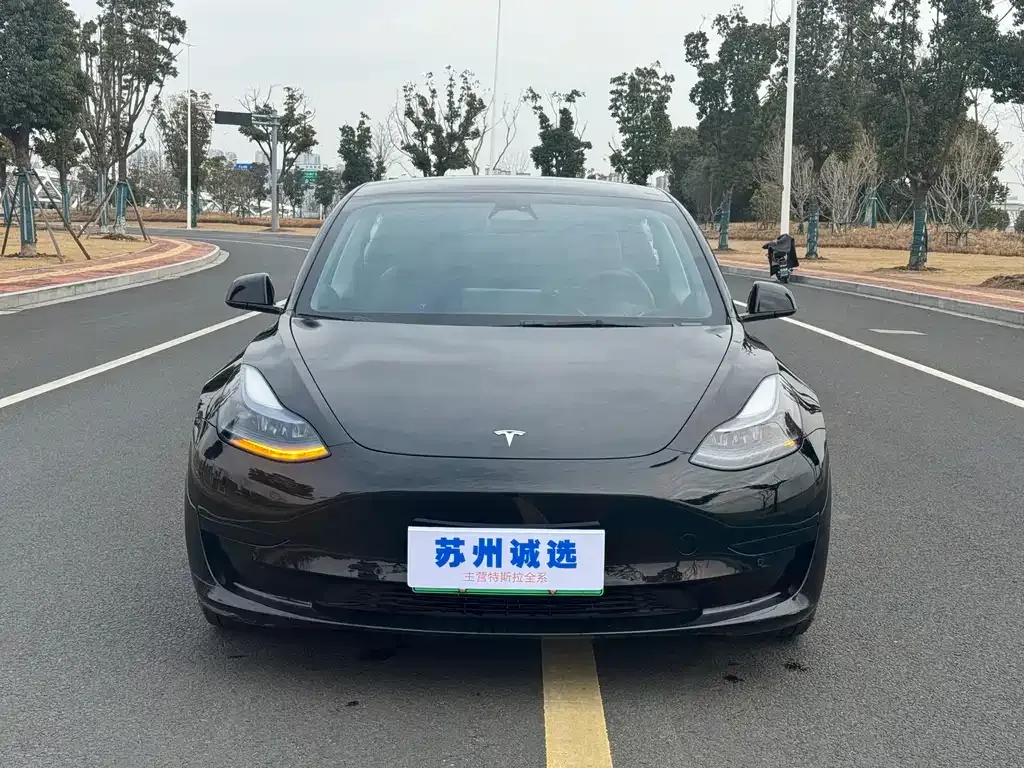 Tesla Model 3 — фото 1