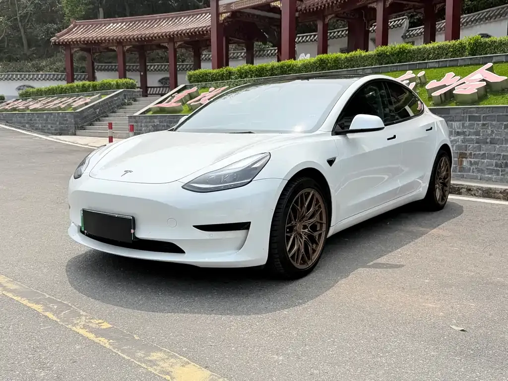 Tesla Model 3 — фото 1