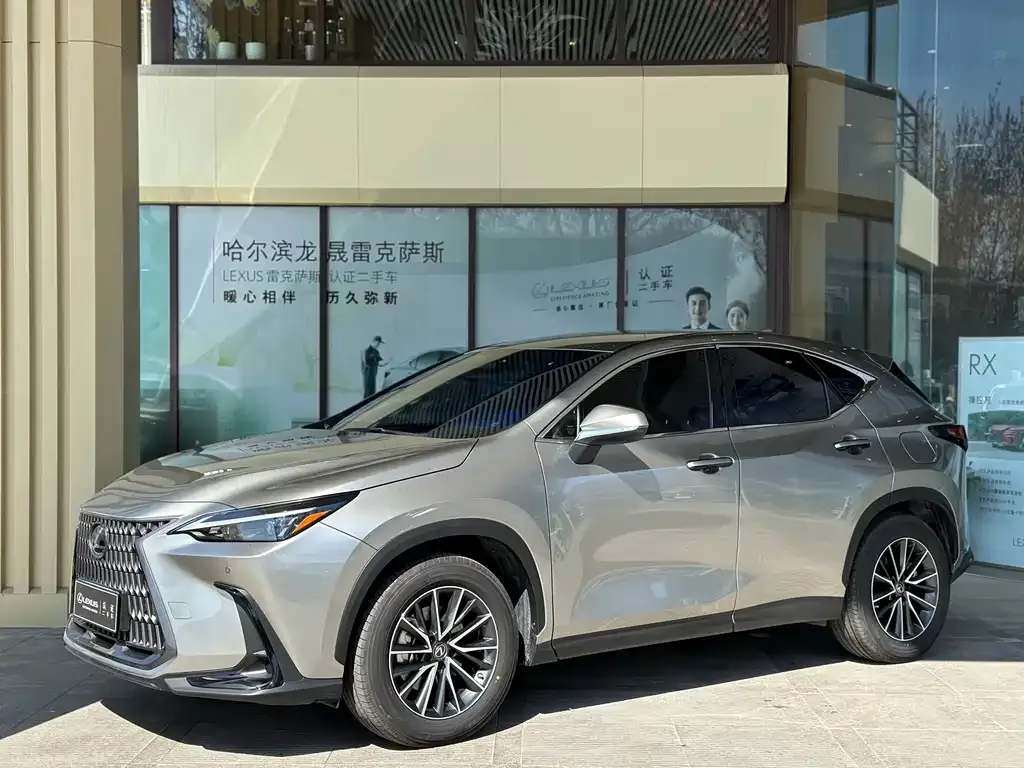 Lexus NX — фото 6