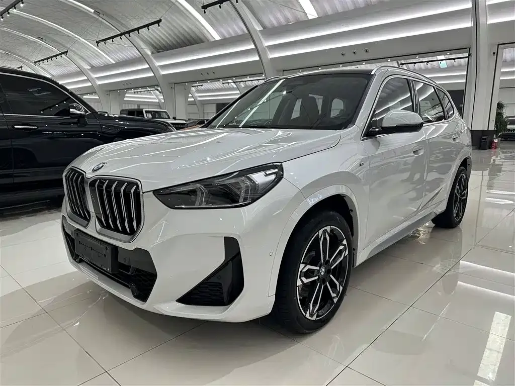 BMW X1 — фото 1
