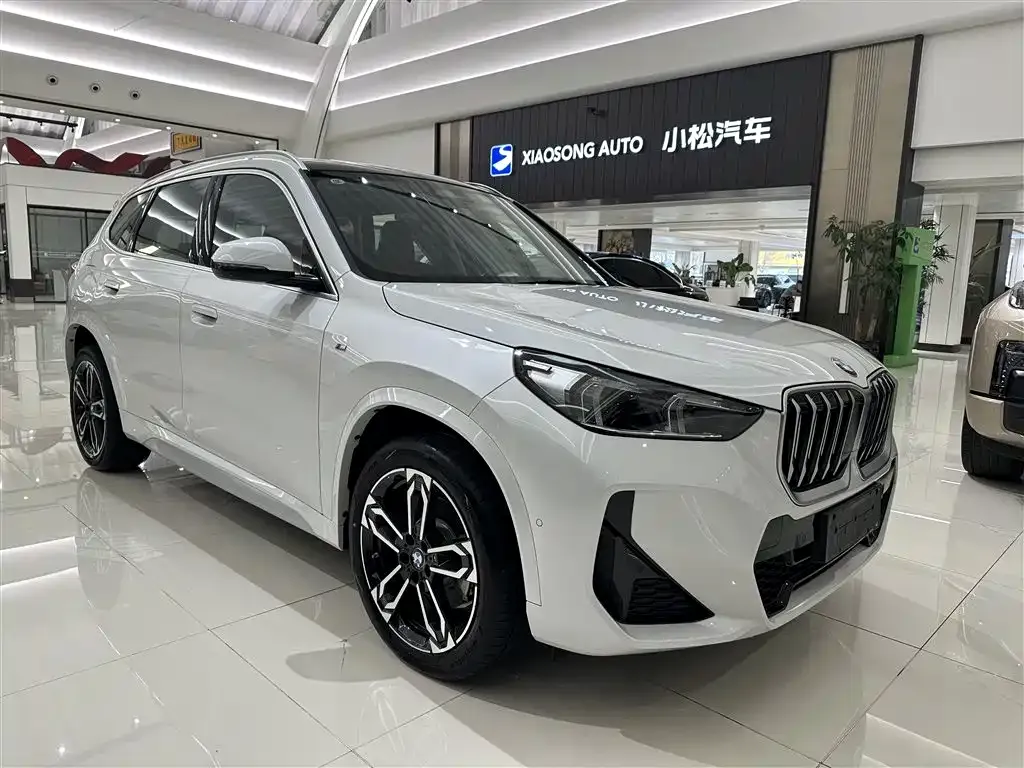BMW X1 — фото 4