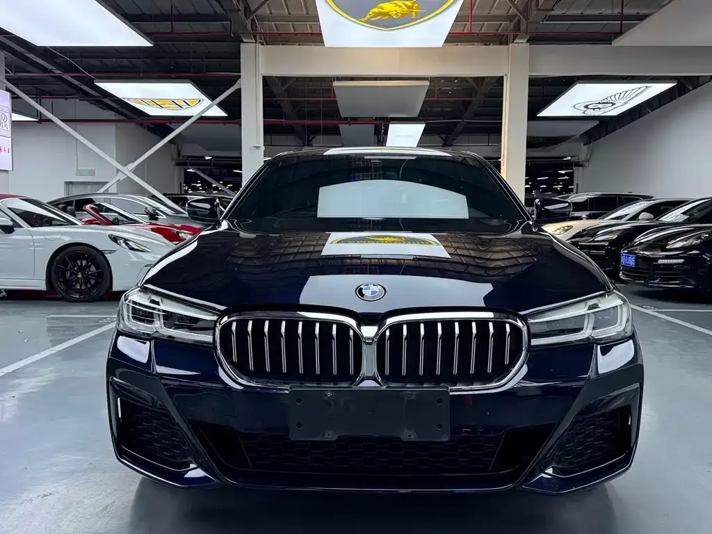 BMW 5 Series 2021 из CN, фото 2