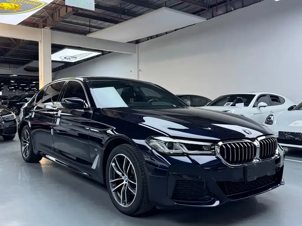 BMW 5 Series 2021 из CN, фото 8