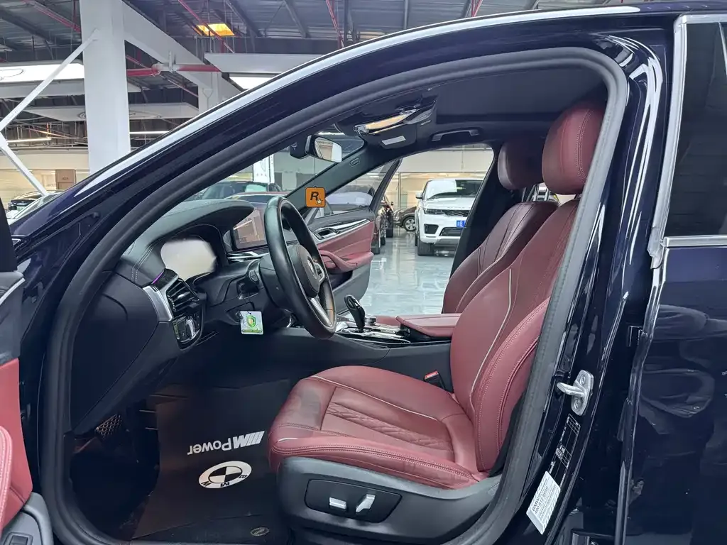 BMW 5 Series 2021 из CN, фото 10