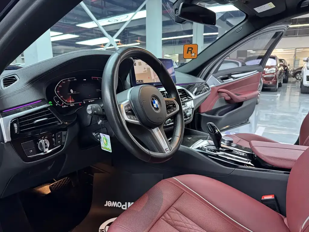 BMW 5 Series 2021 из CN, фото 3