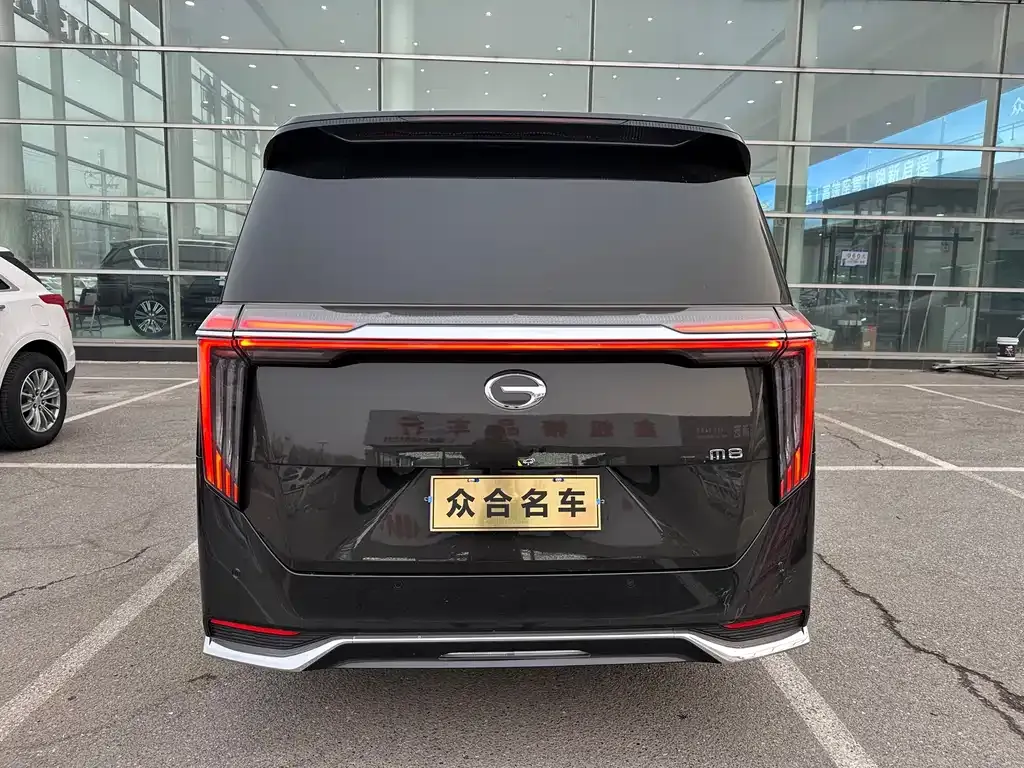 GAC Motor Trumpchi M8 2024 из CN, фото 4
