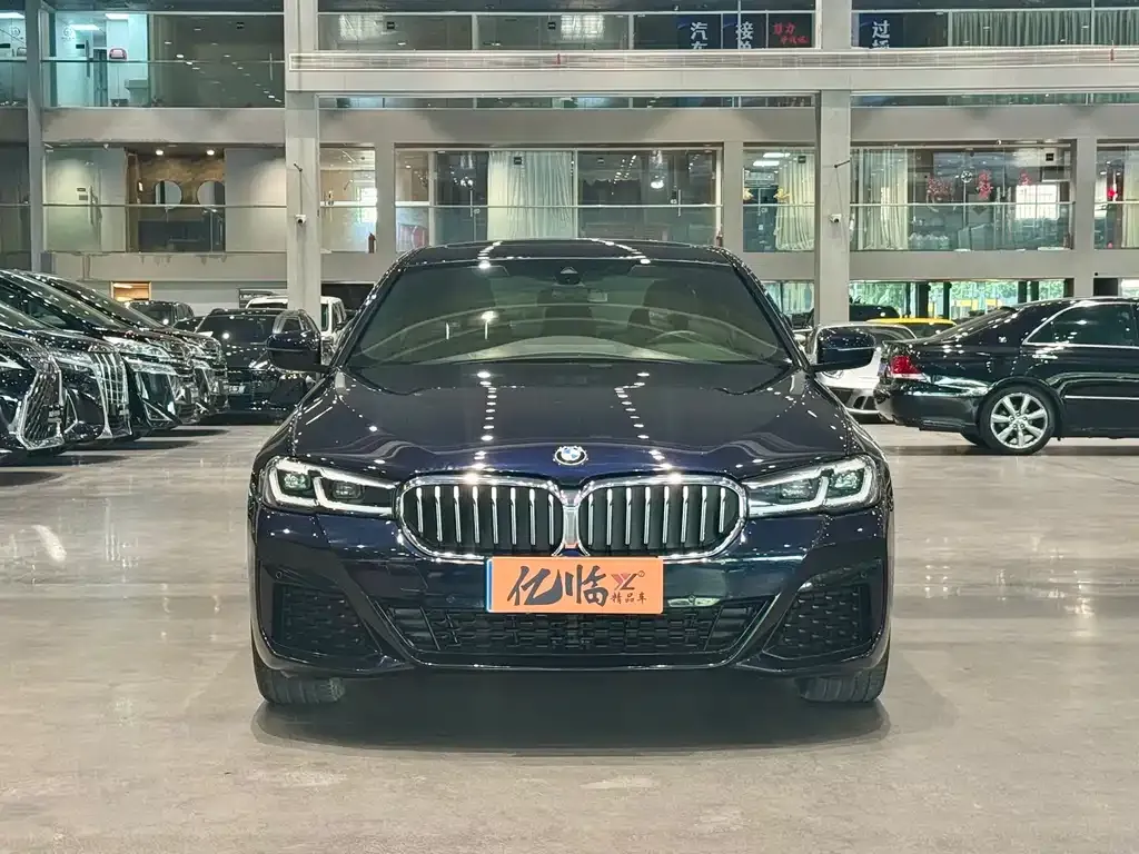 BMW 5 Series (Import) 2021 из CN, фото 5