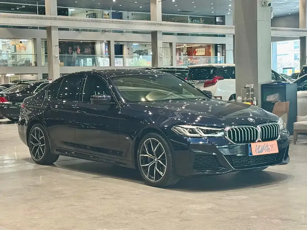 BMW 5 Series (Import) 2021 из CN, фото 3