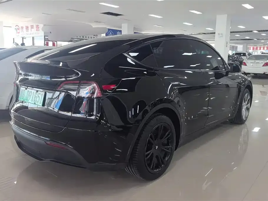 Tesla Model Y — фото 10
