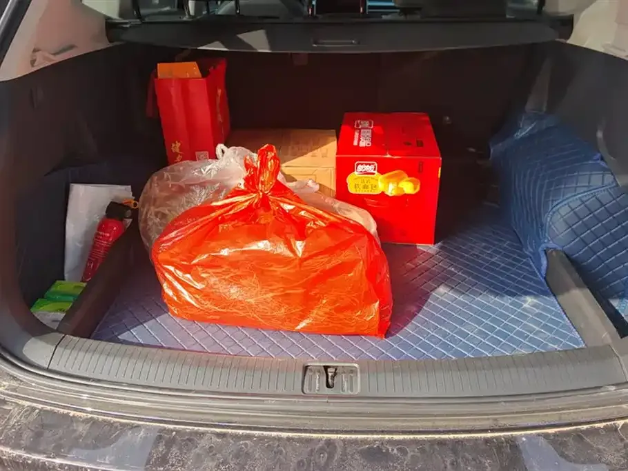 Volkswagen Tiguan L 2023 из CN, фото 5