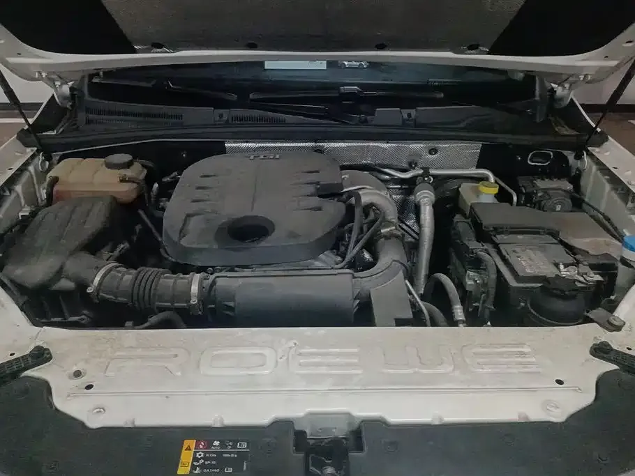 Roewe RX8 2023 из CN, фото 7