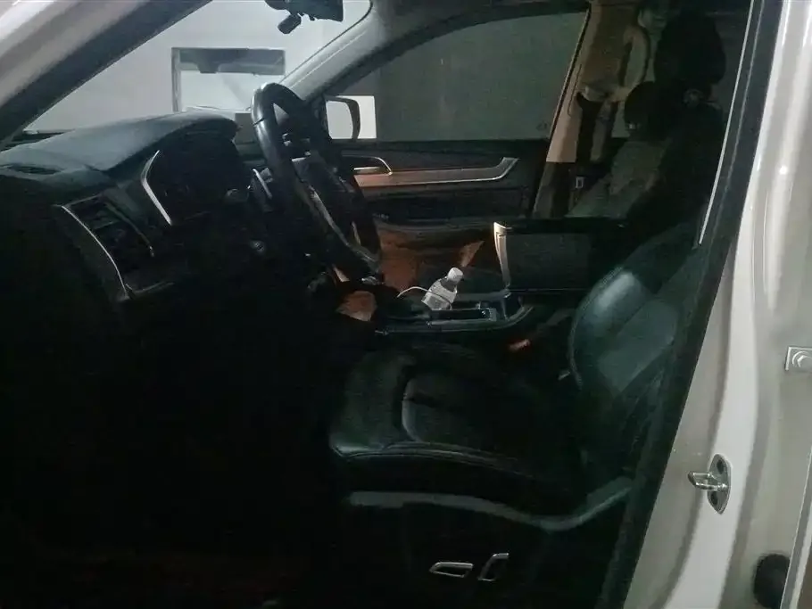 Roewe RX8 2023 из CN, фото 6