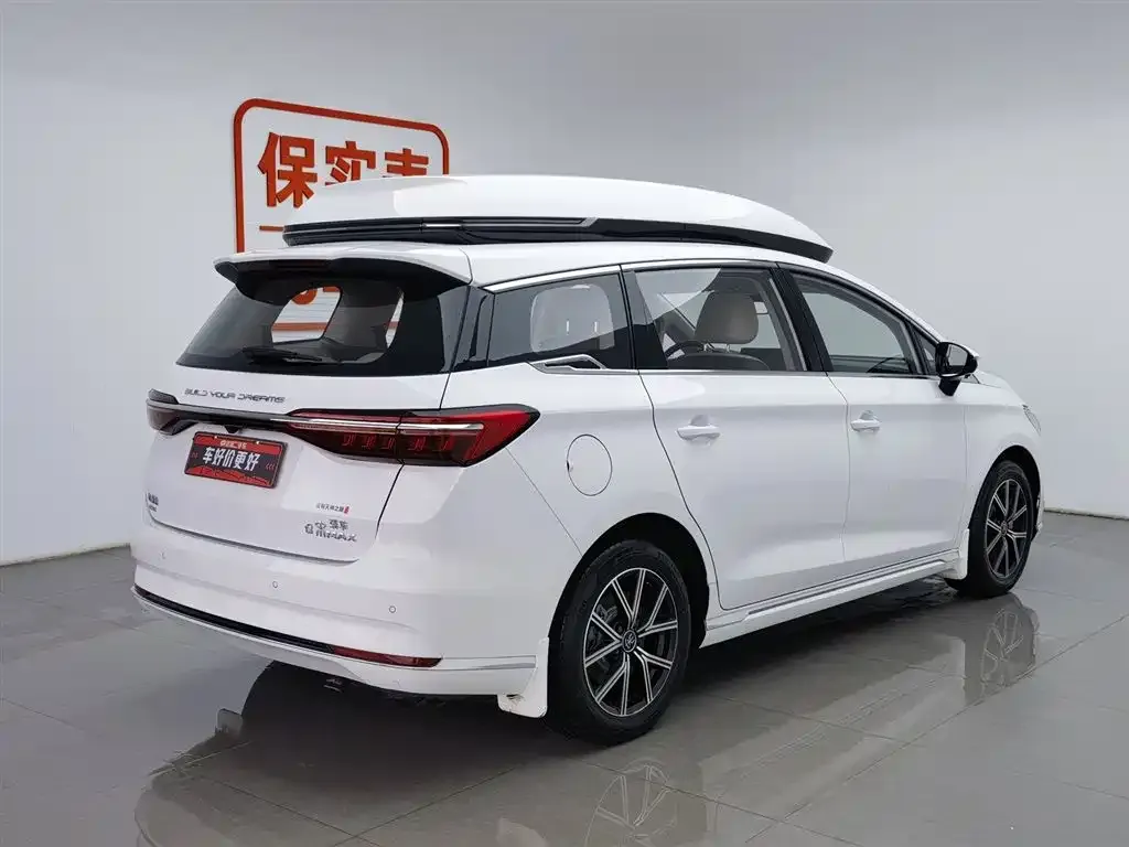 BYD MAX New Energy 2023 из CN, фото 9
