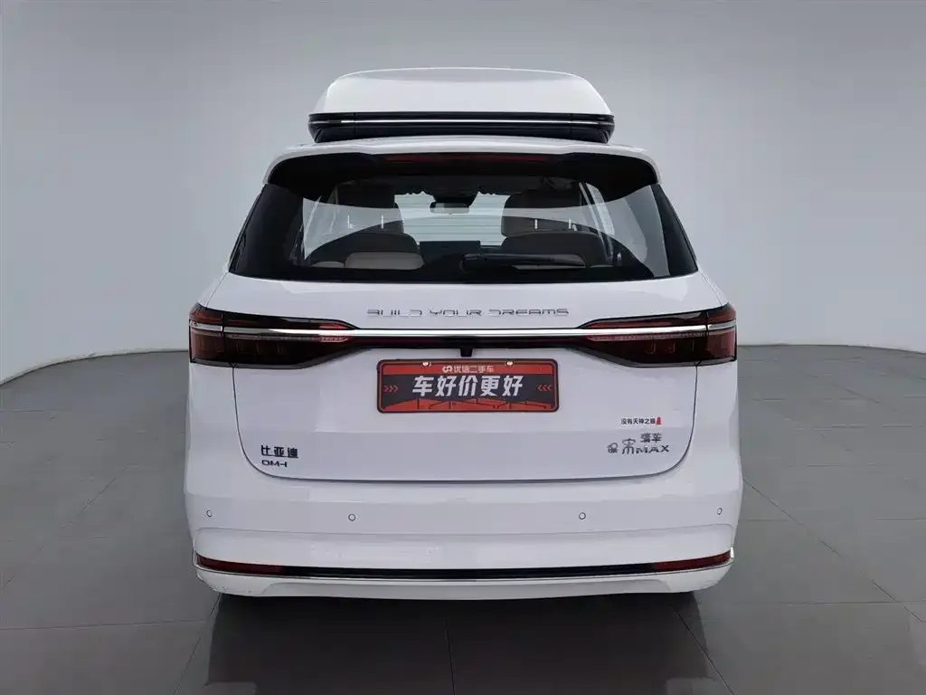 BYD MAX New Energy 2023 из CN, фото 2