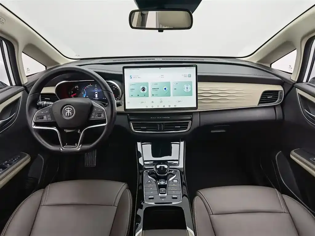 BYD MAX New Energy 2023 из CN, фото 4