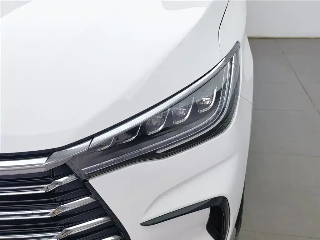 BYD MAX New Energy 2023 из CN, фото 3