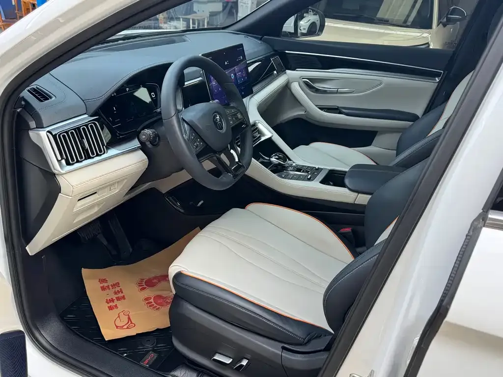 BYD PLUS New Energy — фото 2