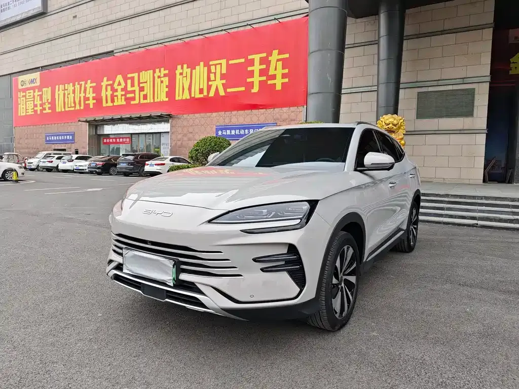BYD PLUS New Energy — фото 1