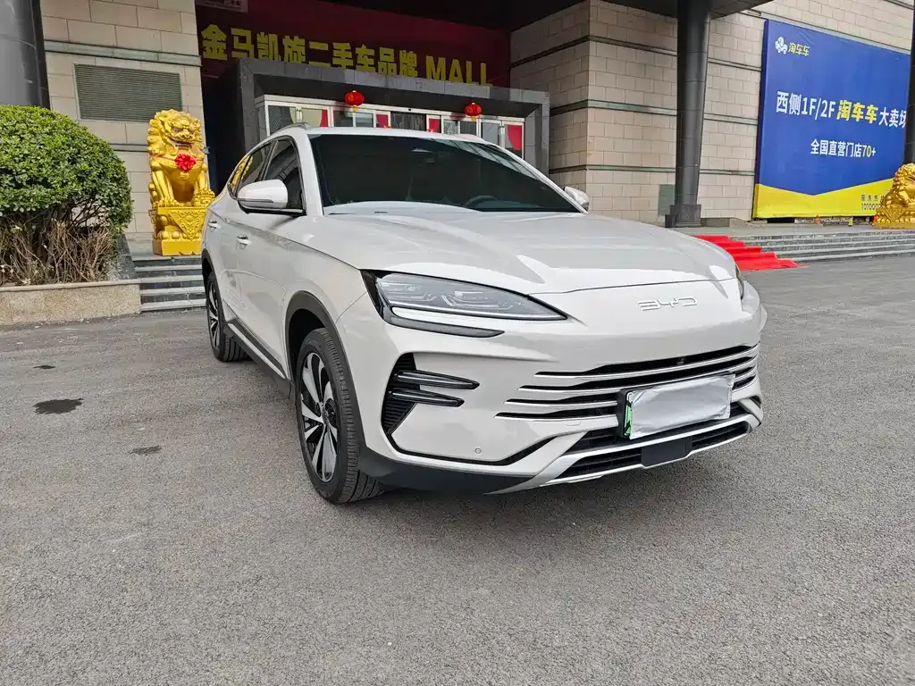 BYD PLUS New Energy — фото 10