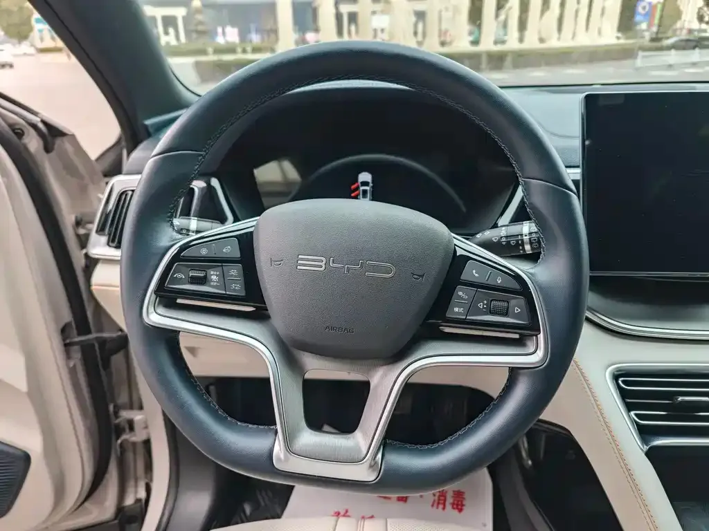 BYD PLUS New Energy — фото 4