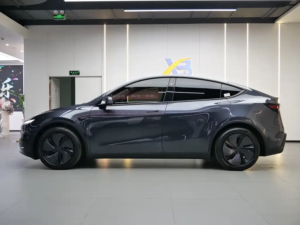 Tesla Model Y 2025 из CN, фото 3