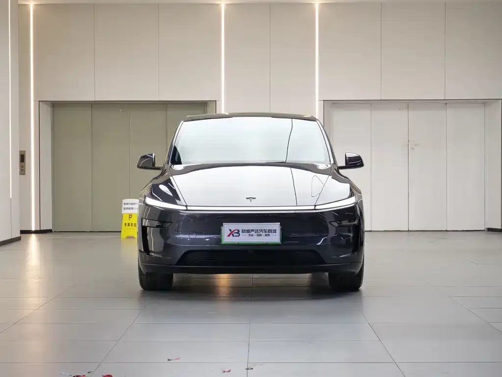 Tesla Model Y 2025 из CN, фото 4