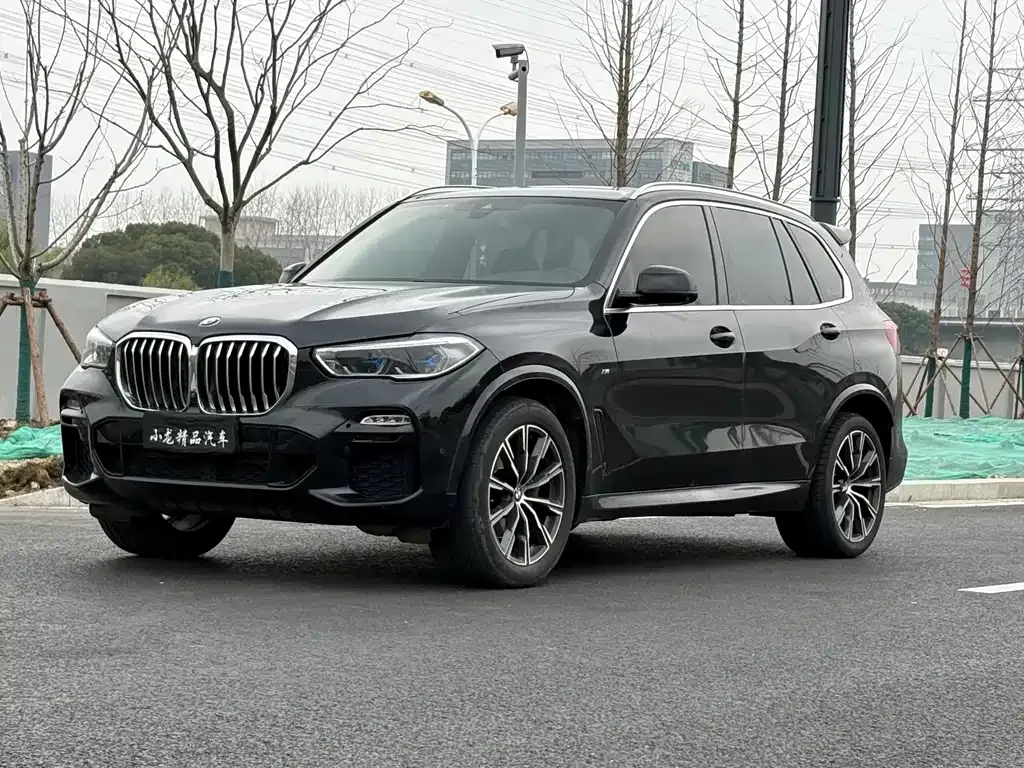 BMW X5 (Import) 2021 из CN, фото 1