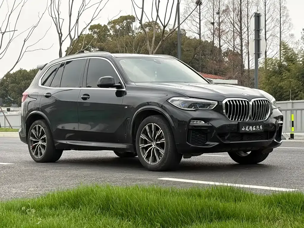 BMW X5 (Import) 2021 из CN, фото 9
