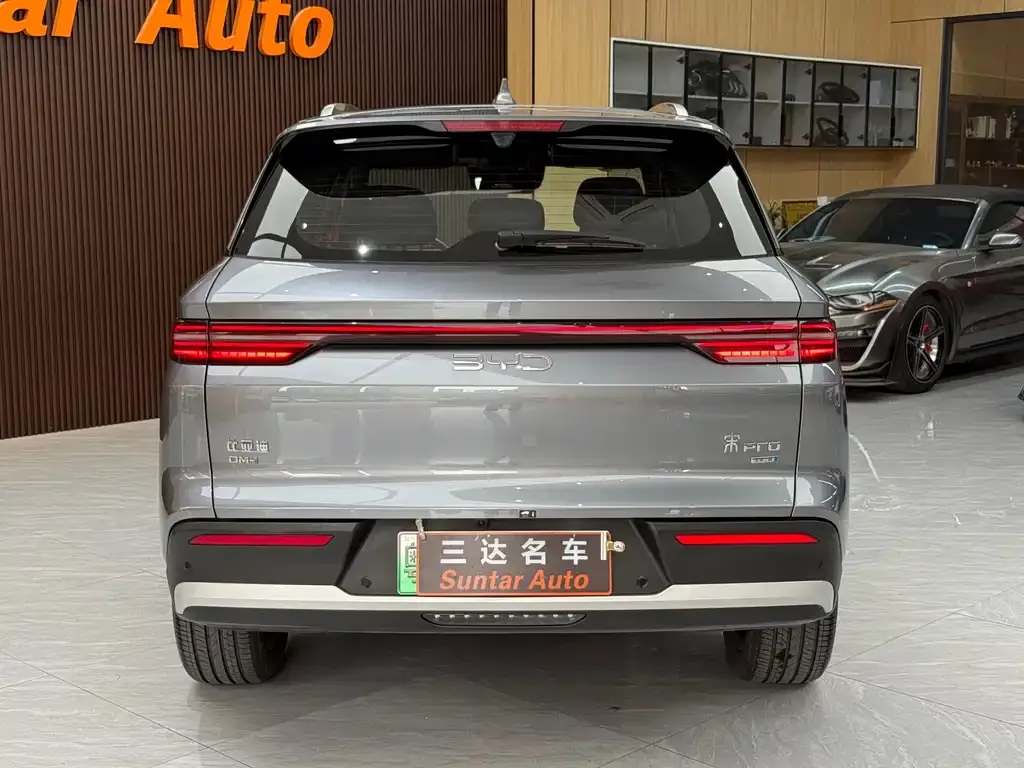 BYD Pro New Energy — фото 9