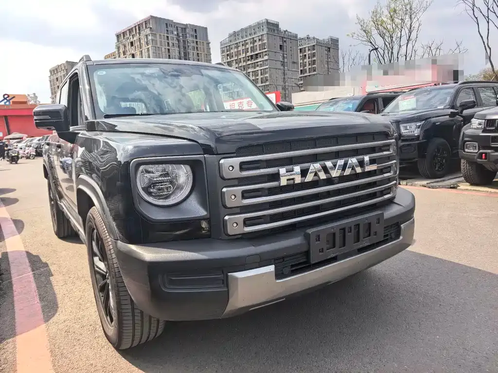 Haval Menglong New Energy — фото 10
