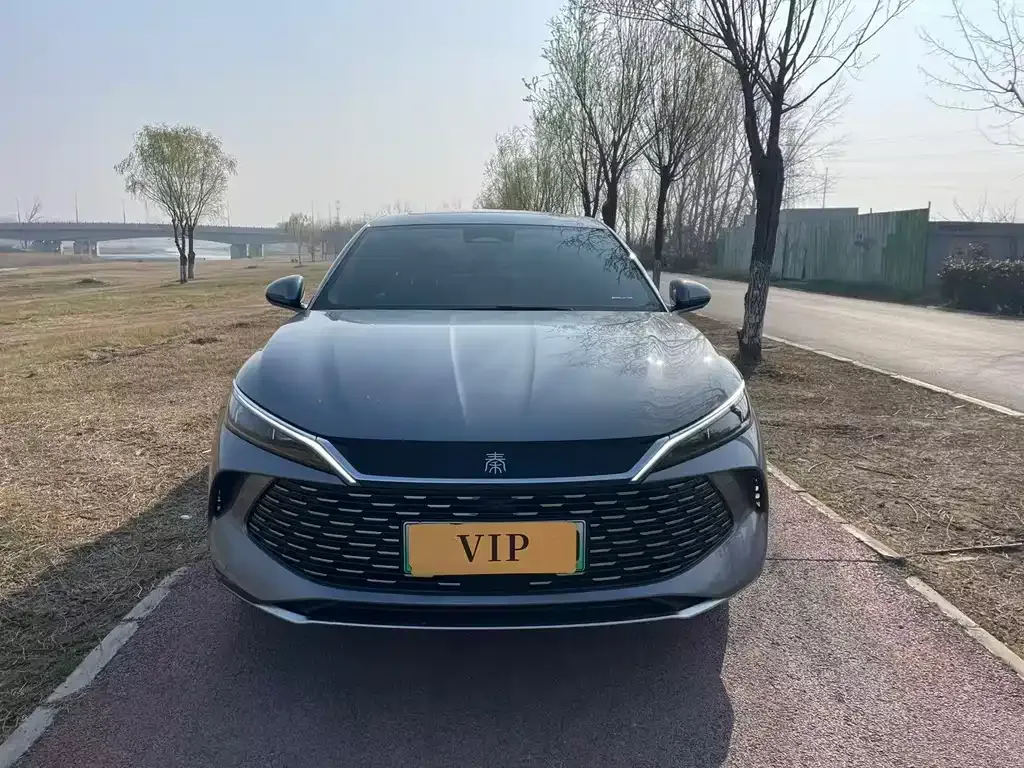 BYD Qin L 2024 из CN, фото 5