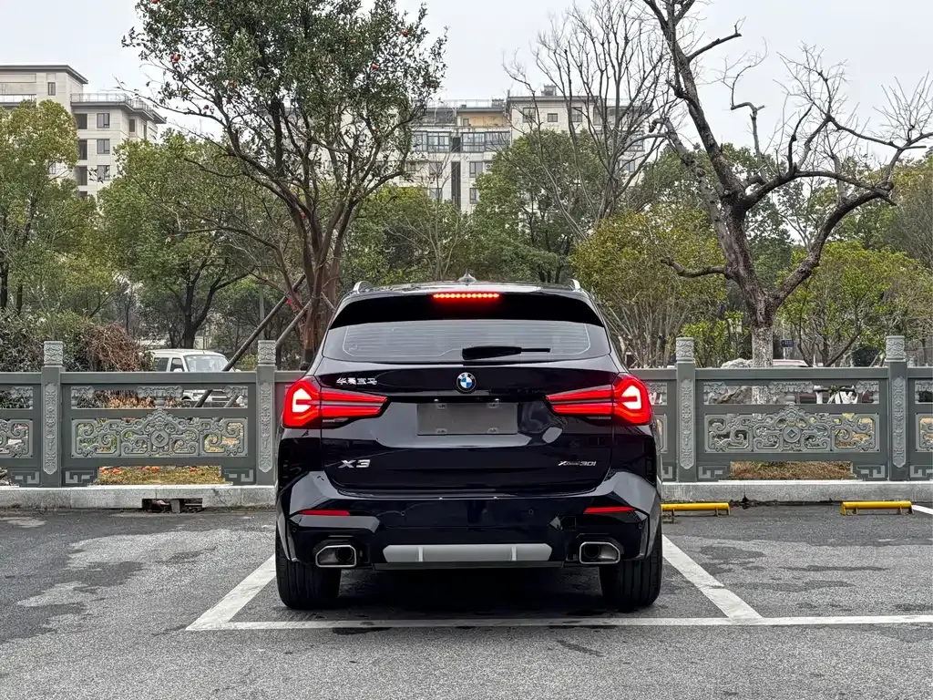BMW X3 2024 из CN, фото 6