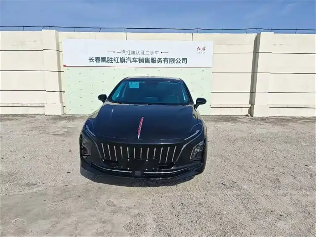 Hongqi E-QM5 — фото 6