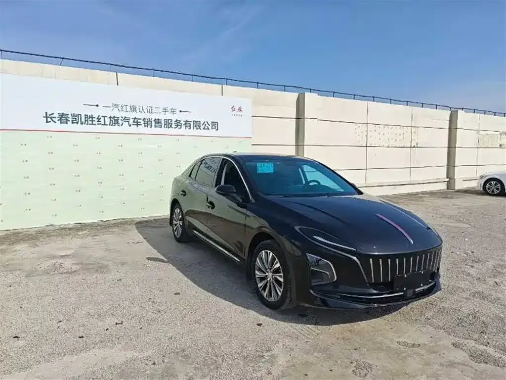 Hongqi E-QM5 — фото 3