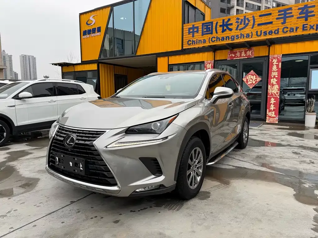 Lexus NX 2021 из CN, фото 1