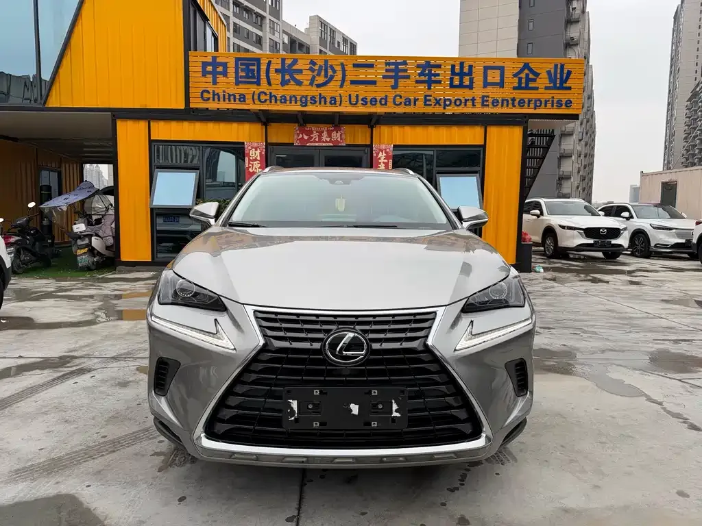Lexus NX 2021 из CN, фото 7