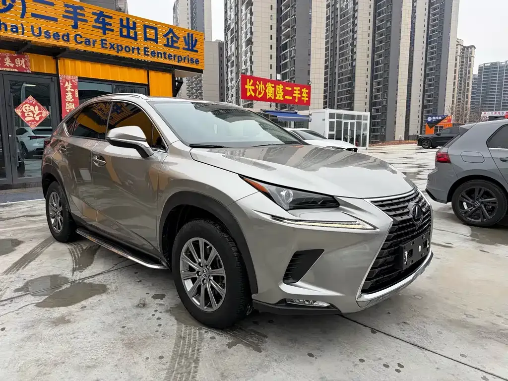Lexus NX 2021 из CN, фото 10