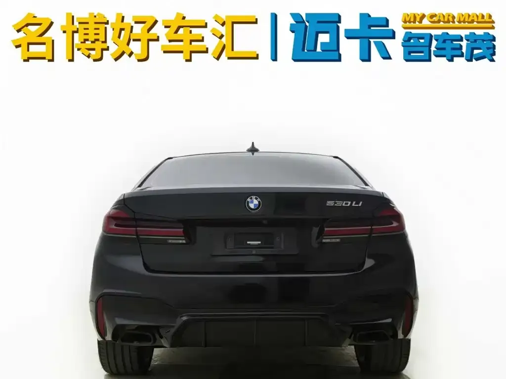 BMW 5 Series New Energy 2023 из CN, фото 9