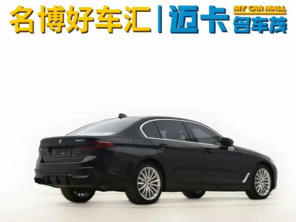 BMW 5 Series New Energy 2023 из CN, фото 8