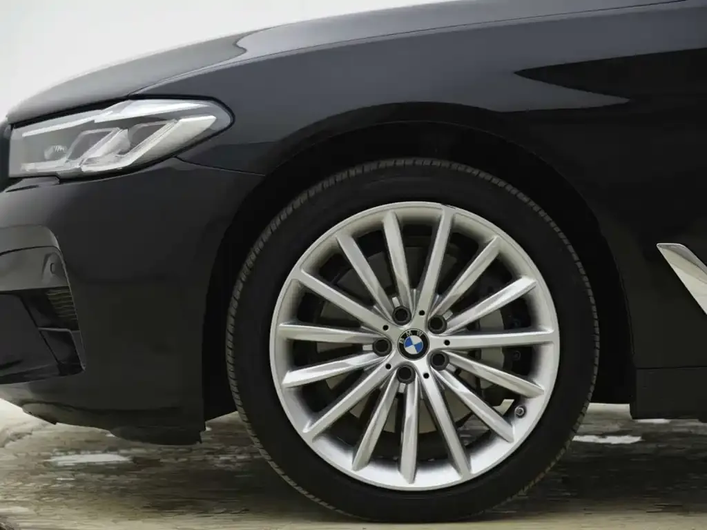 BMW 5 Series New Energy 2023 из CN, фото 5