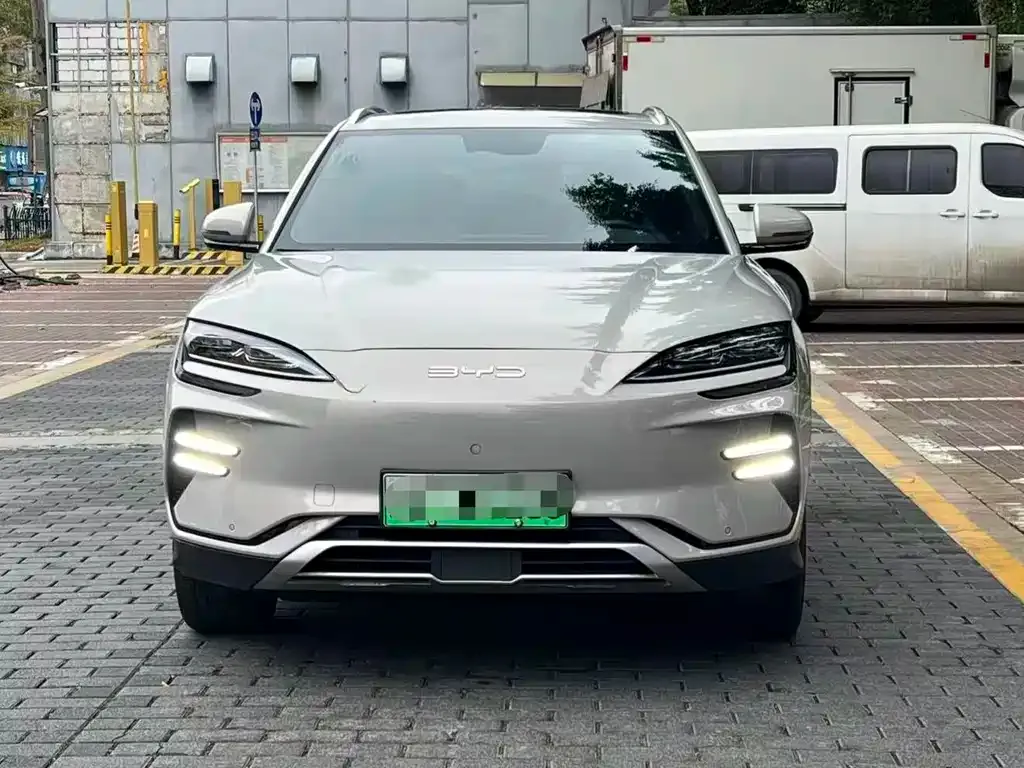 BYD PLUS New Energy 2024 из CN, фото 2