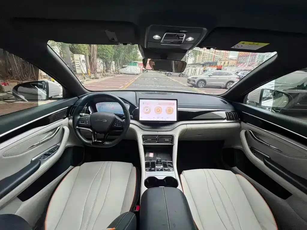 BYD PLUS New Energy 2024 из CN, фото 4