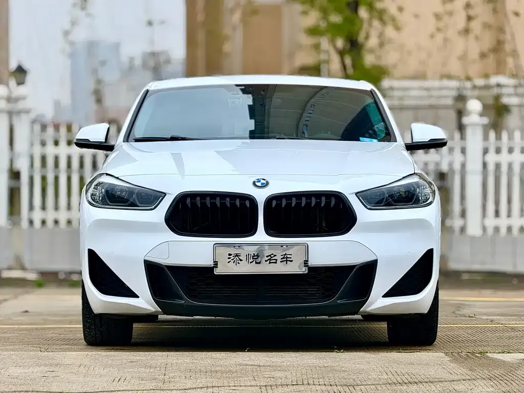 BMW X2 2022 из CN, фото 1